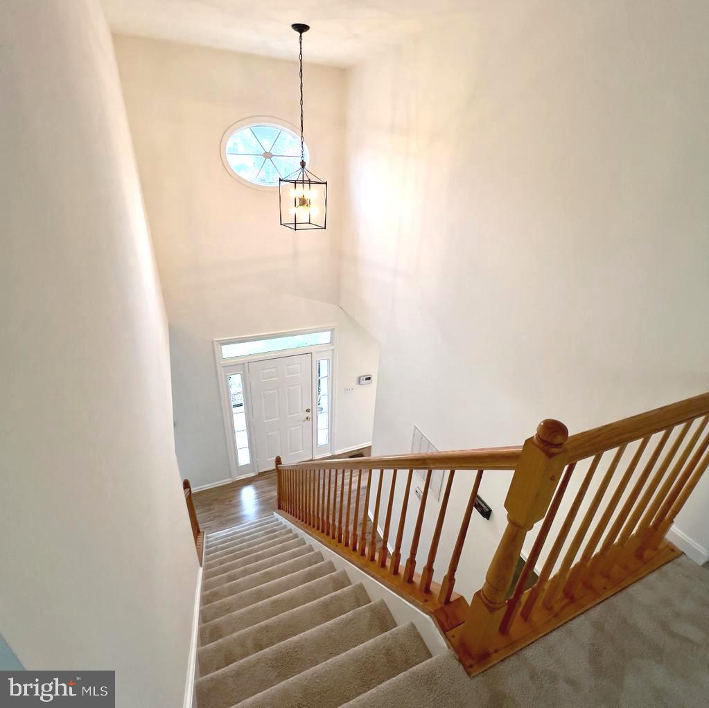 DALE CITY - Residential