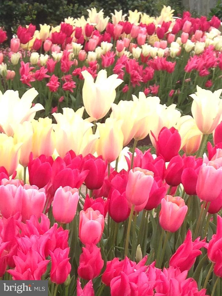 GUILFORD - Residential