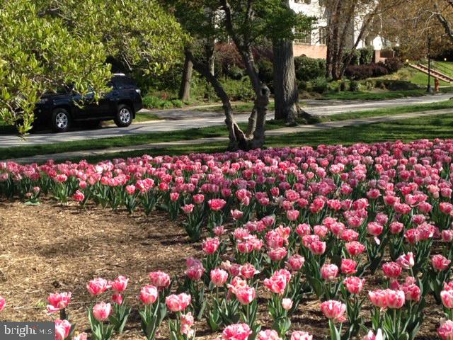 GUILFORD - Residential