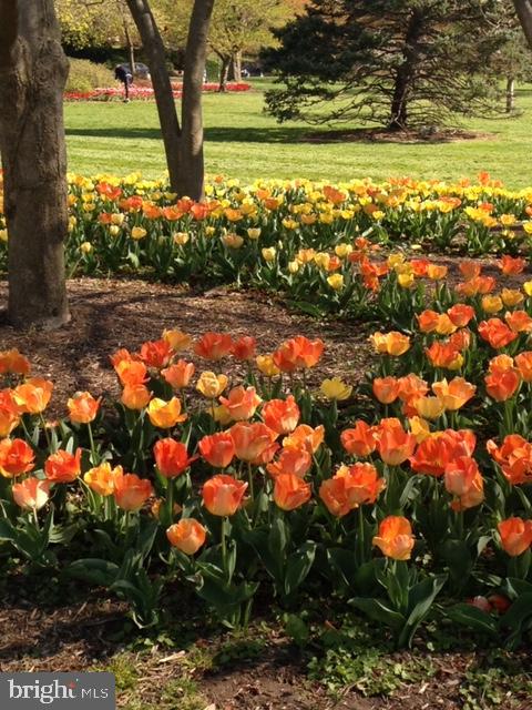 GUILFORD - Residential