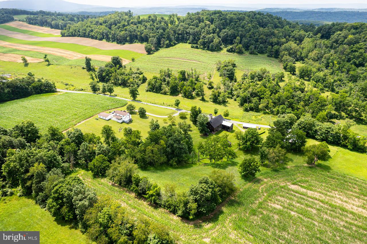 BEDFORD TOWNSHIP - Farm