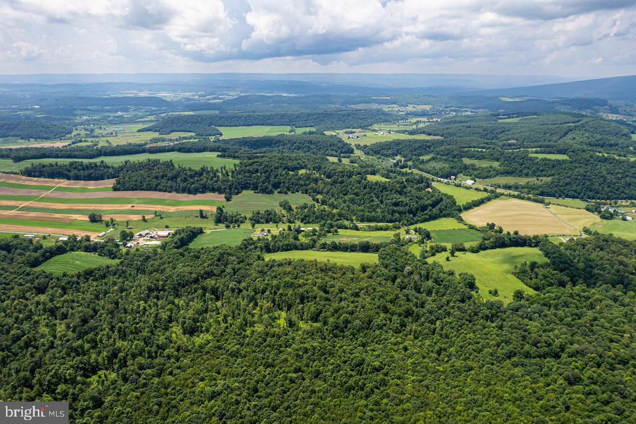 BEDFORD TOWNSHIP - Farm
