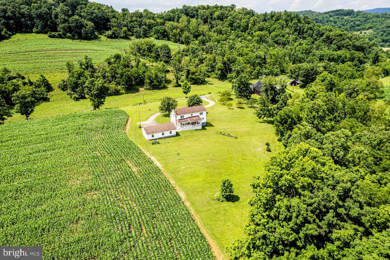 BEDFORD TOWNSHIP - Farm
