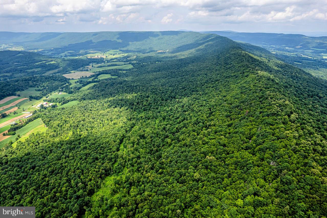 BEDFORD TOWNSHIP - Farm