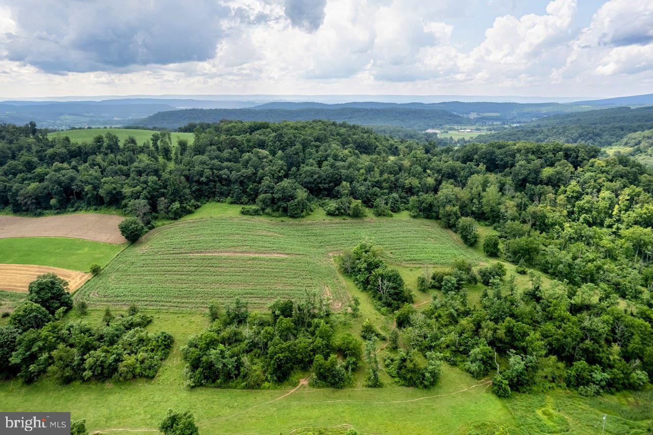BEDFORD TOWNSHIP - Farm