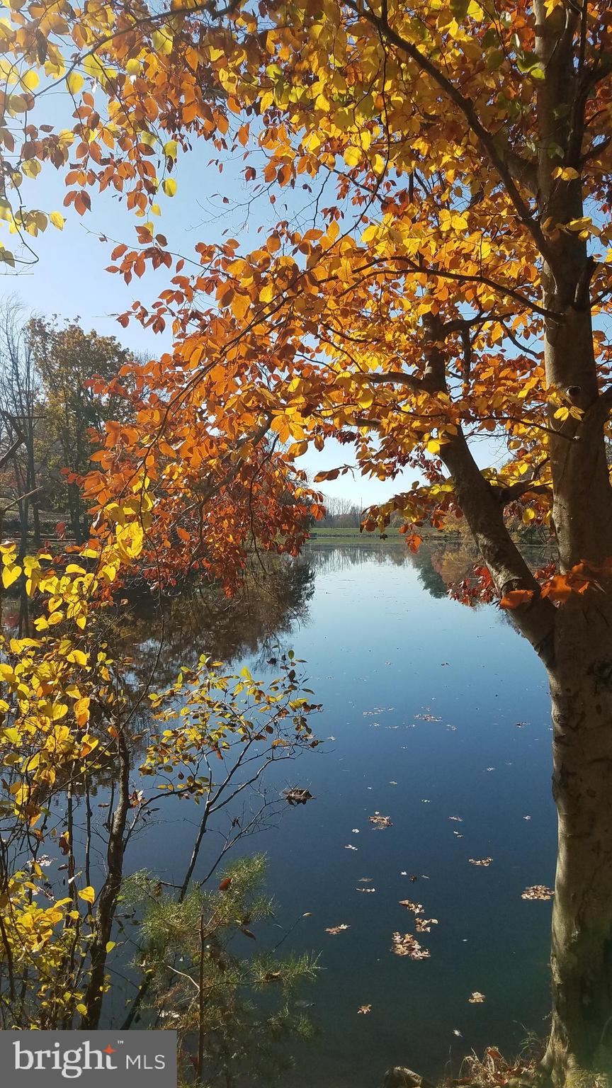 LAKE BRADDOCK - Residential Lease