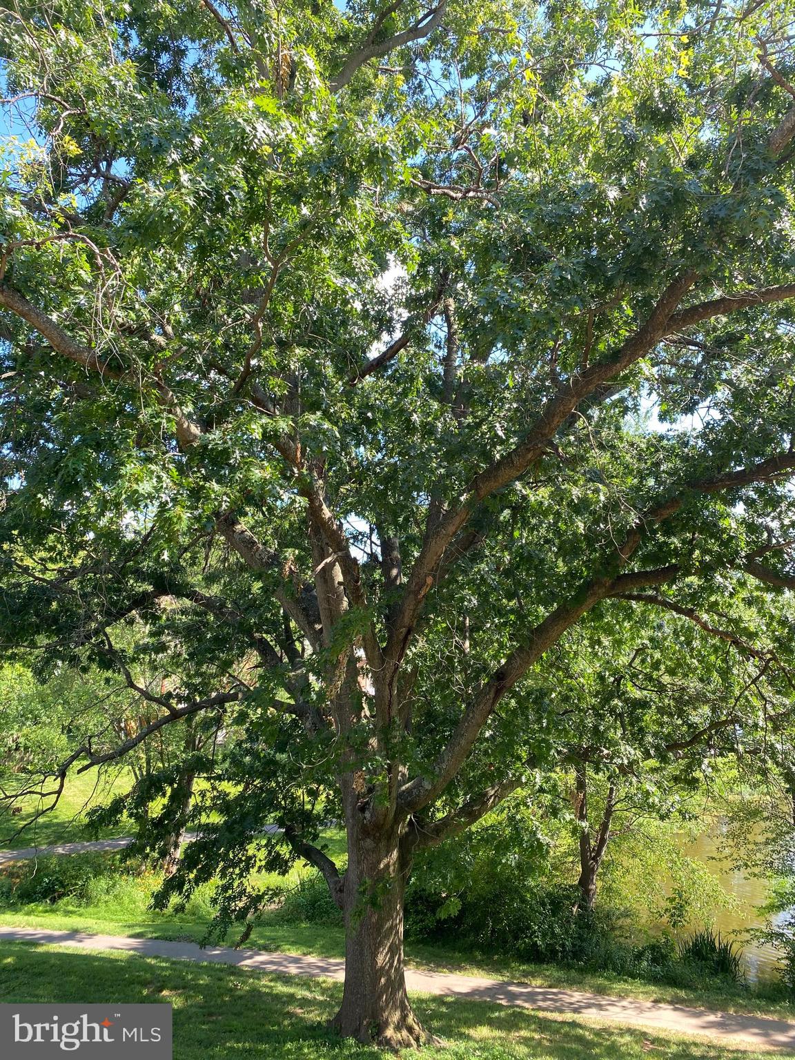 LAKE BRADDOCK - Residential Lease