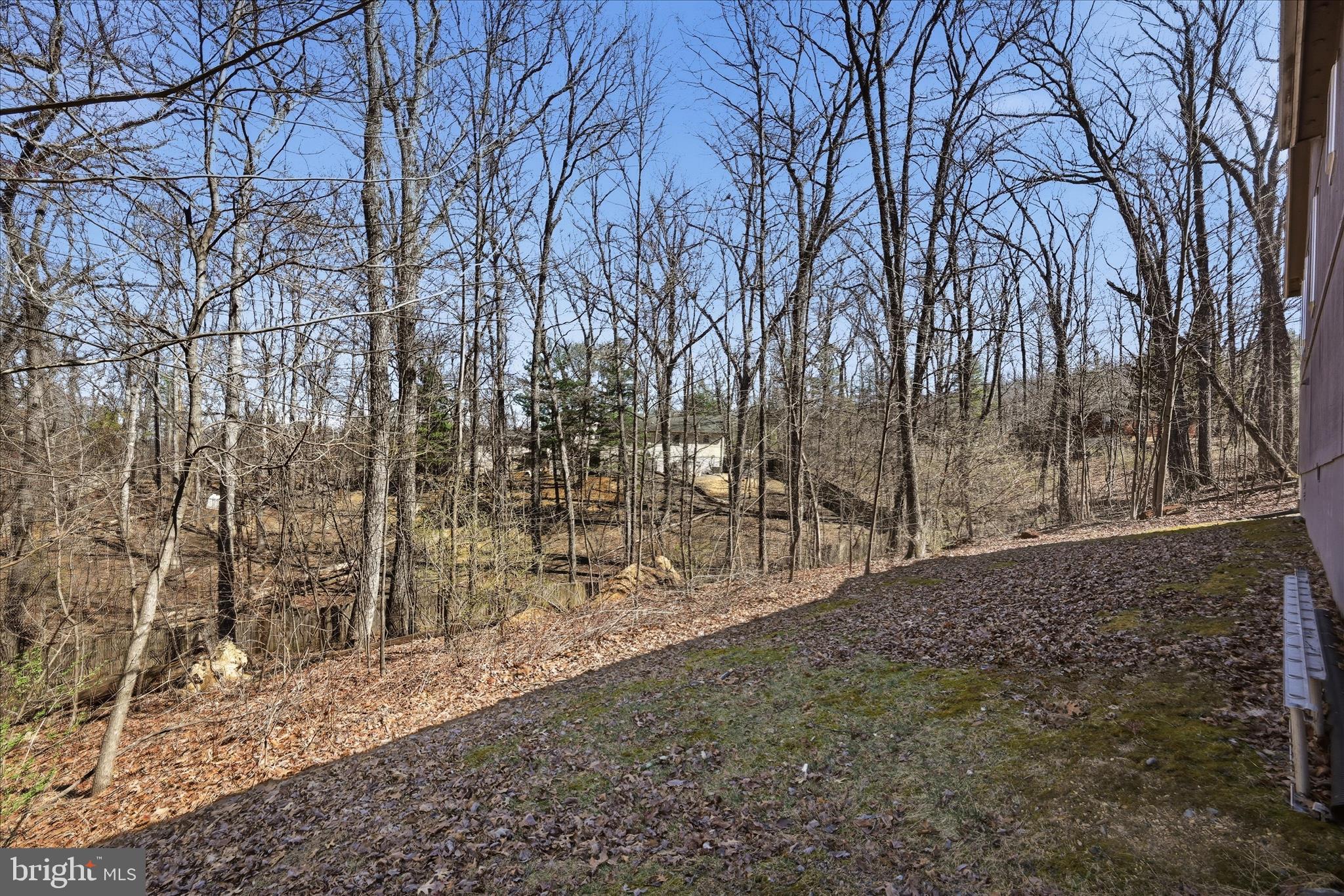 GLENWOOD FOREST - Residential