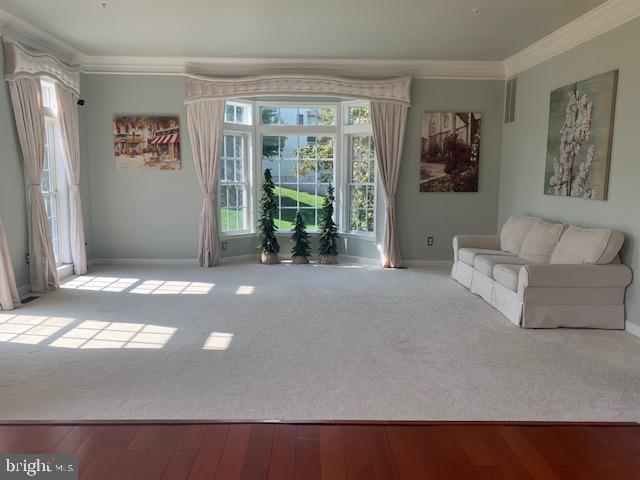 WARNER MEADOWS - Residential