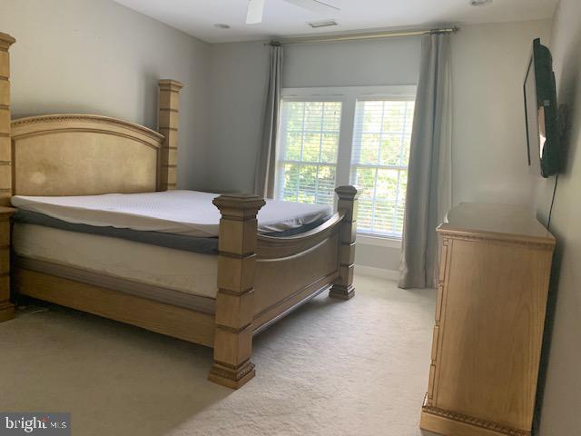 WARNER MEADOWS - Residential