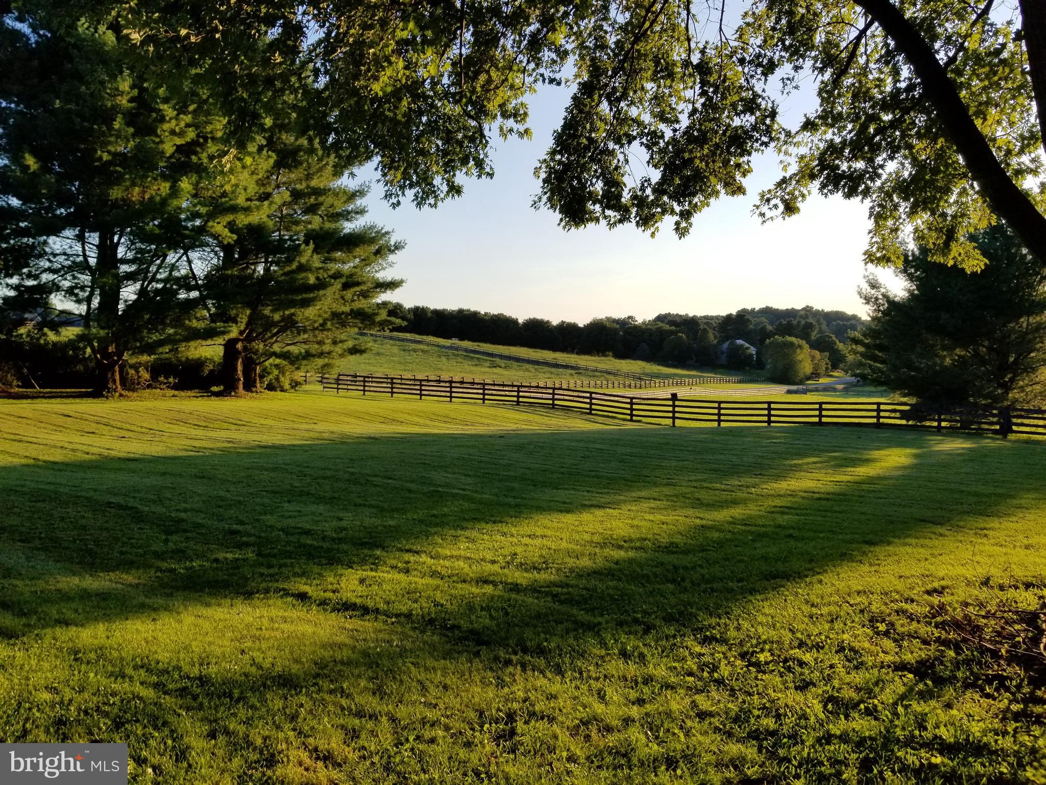 WORTHINGTON VALLEY - Farm