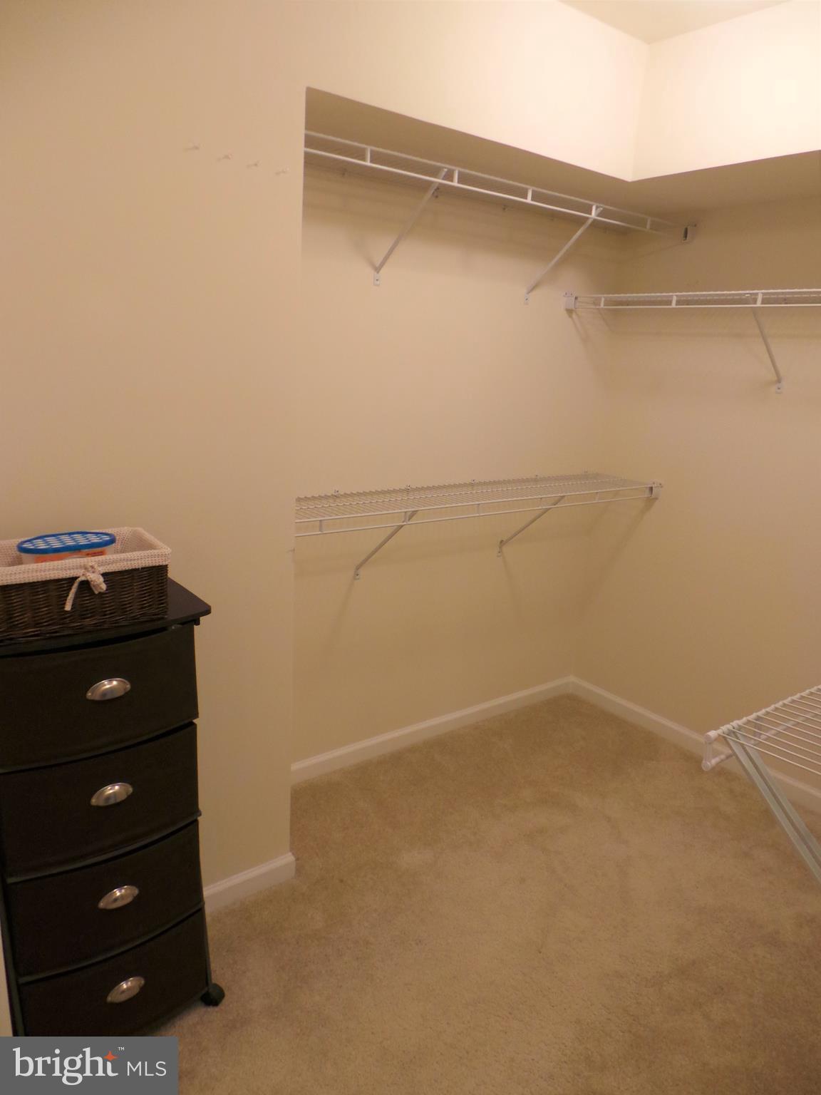 CARDINE/TORRIS - Residential Lease