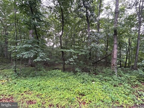 Vacant Land For Sale - Lot 27 Cochise Trail<br/> Frederick County, WINCHESTER, VA 22602