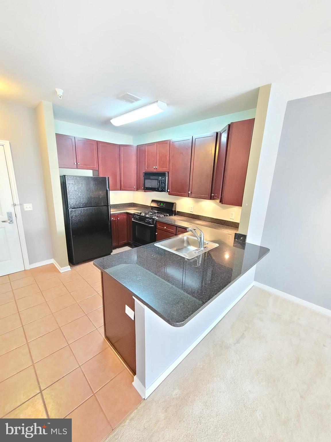 8045 AT SILVER SPRING METRO - Residential Lease