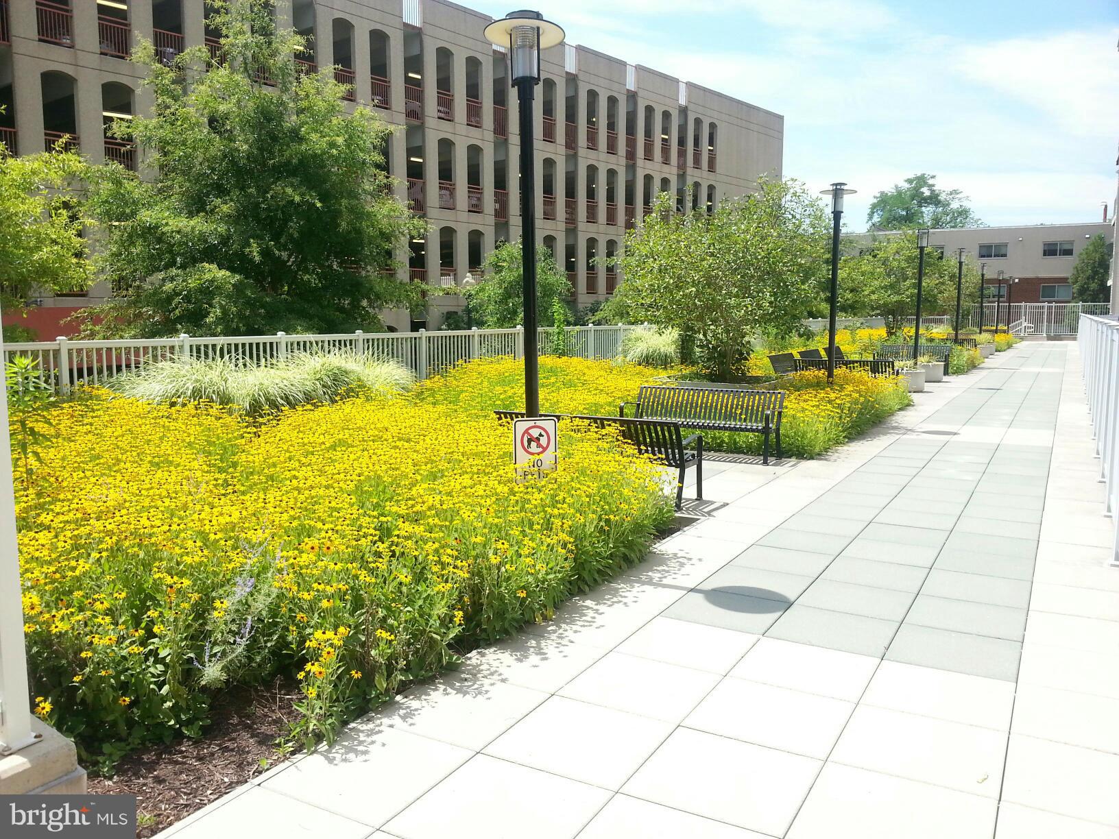 8045 AT SILVER SPRING METRO - Residential Lease