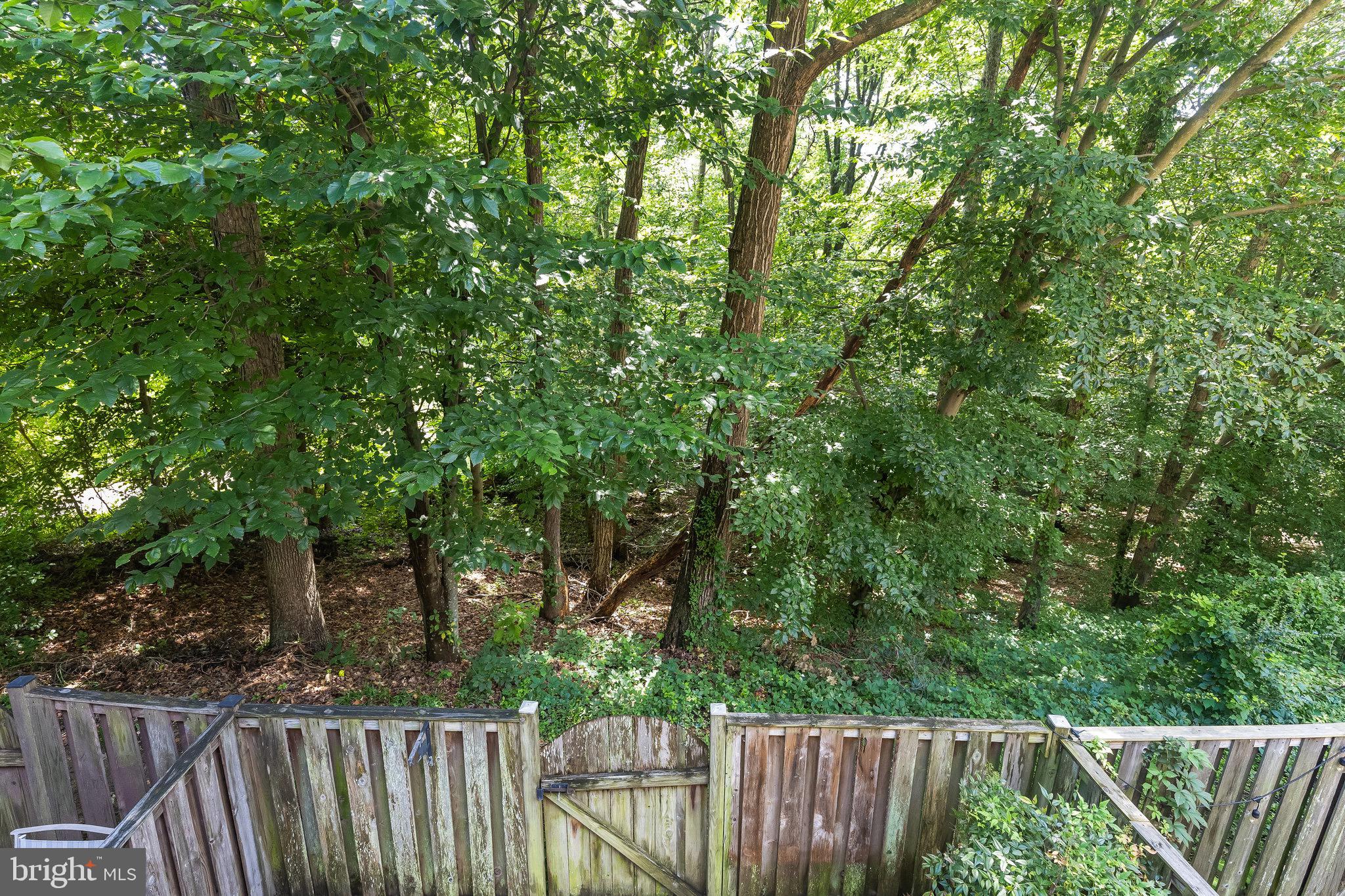 SPRINGFIELD OAKS - Residential Lease