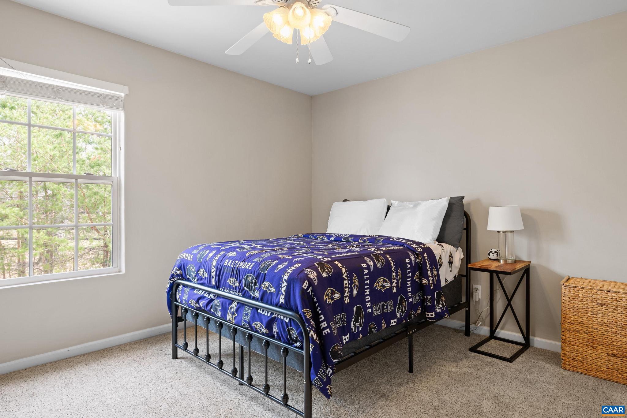 LAKE MONTICELLO - Residential