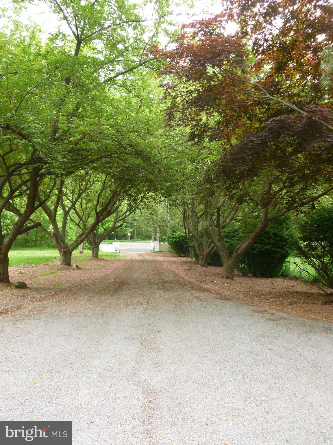 7829 OLD DOMINION DRIVE