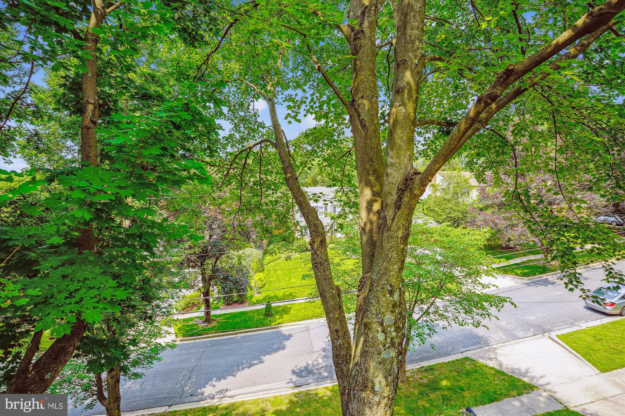 ROCK CREEK HILLS - Residential