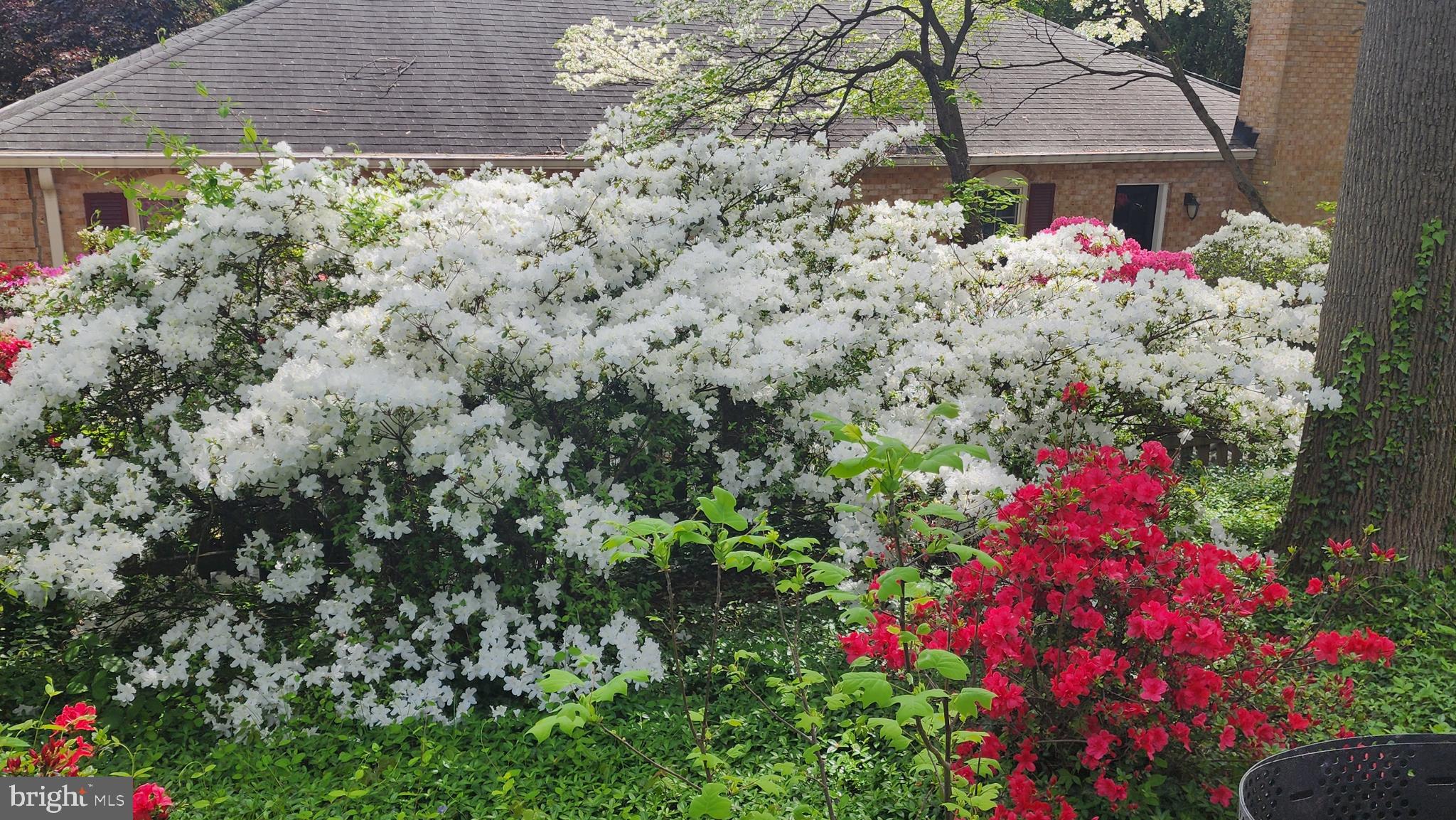 ROCK CREEK HILLS - Residential