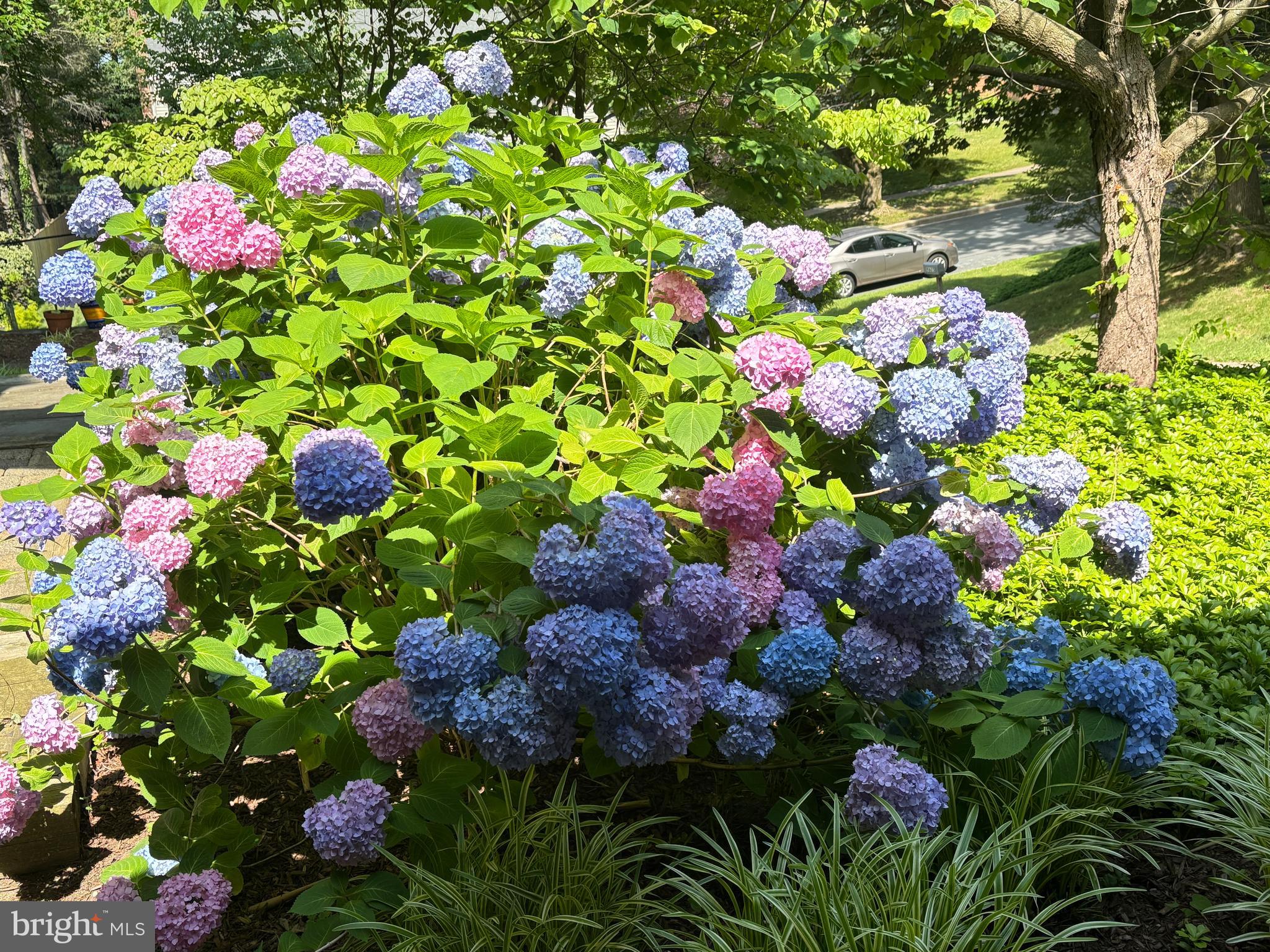 ROCK CREEK HILLS - Residential