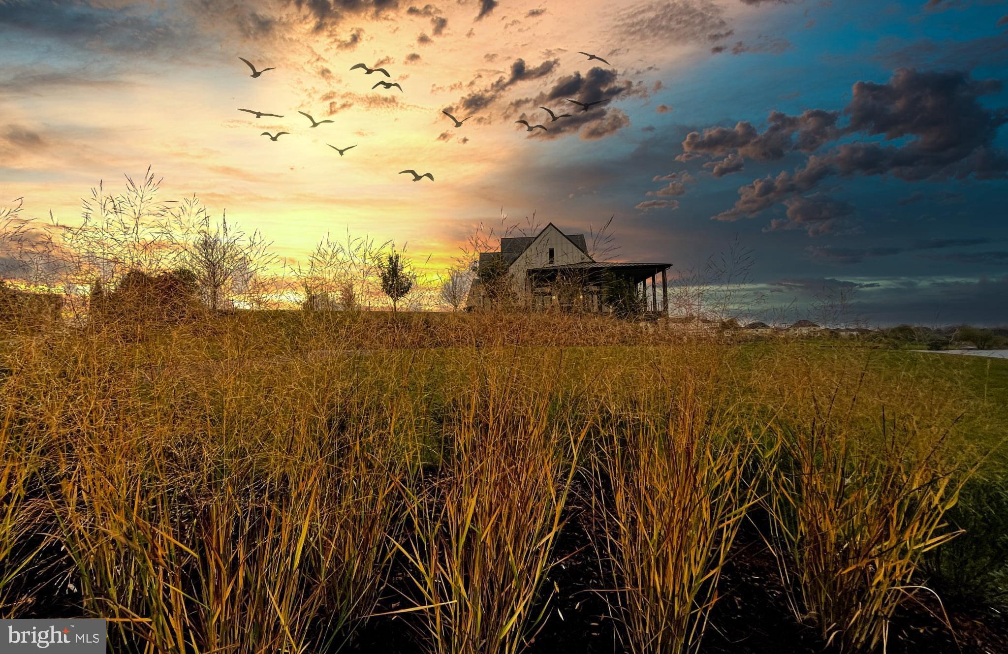 BIRCHWOOD AT BRAMBLETON - Residential