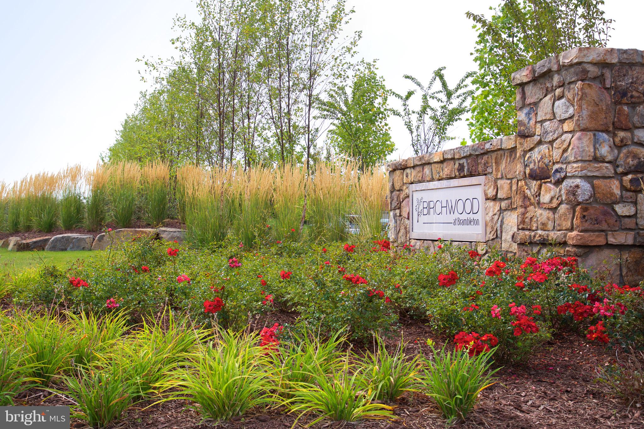 BIRCHWOOD AT BRAMBLETON - Residential