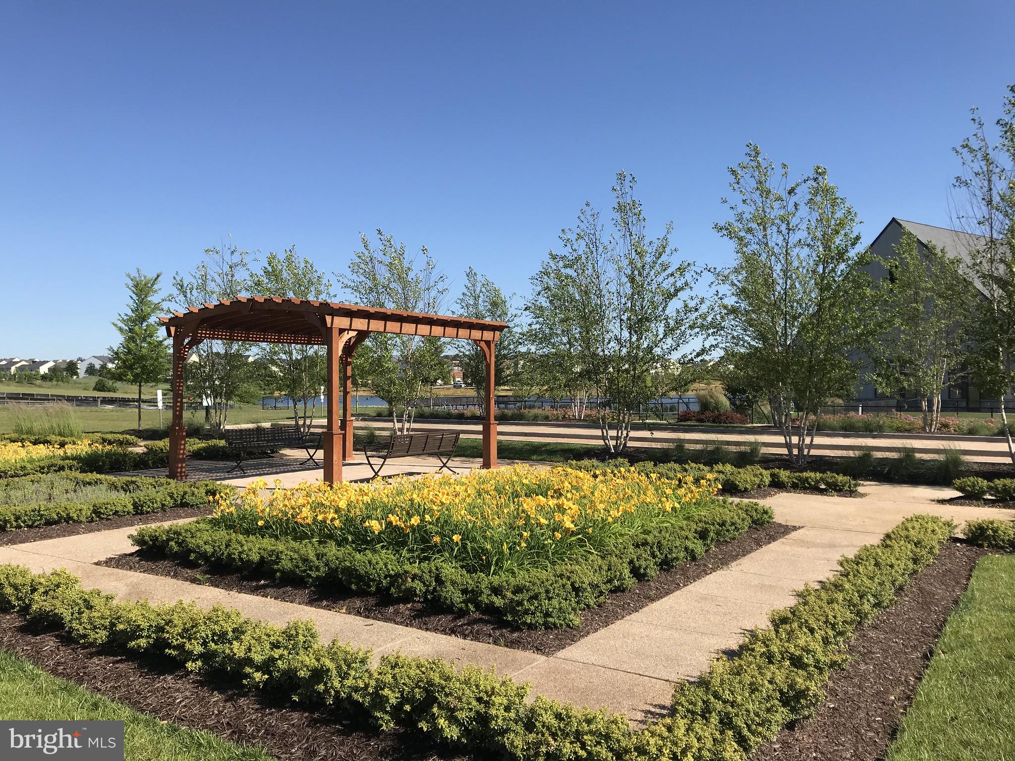 BIRCHWOOD AT BRAMBLETON - Residential