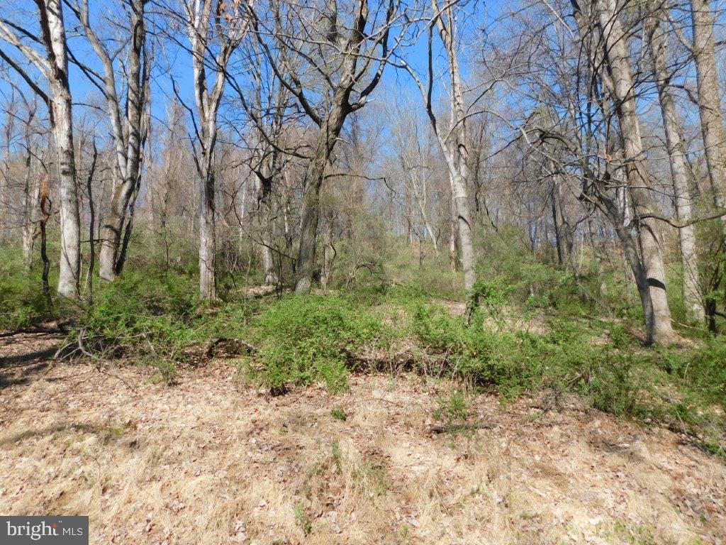 TROUT POND ASSOCIATION - Land