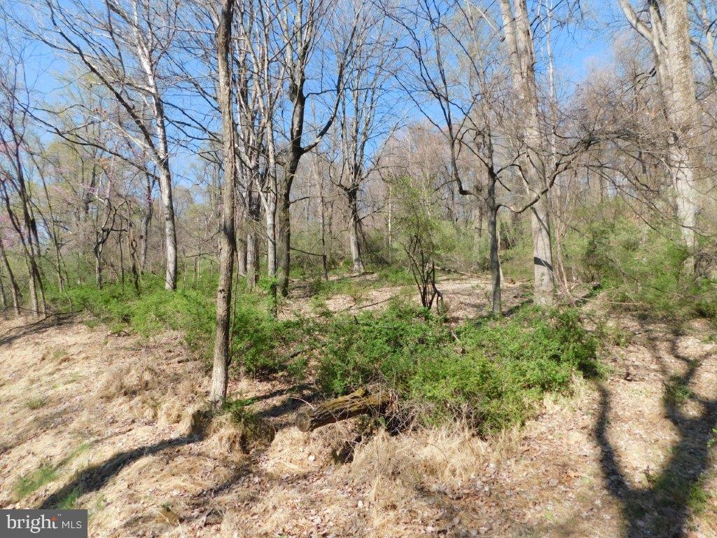 TROUT POND ASSOCIATION - Land