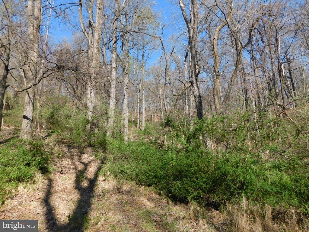 TROUT POND ASSOCIATION - Land