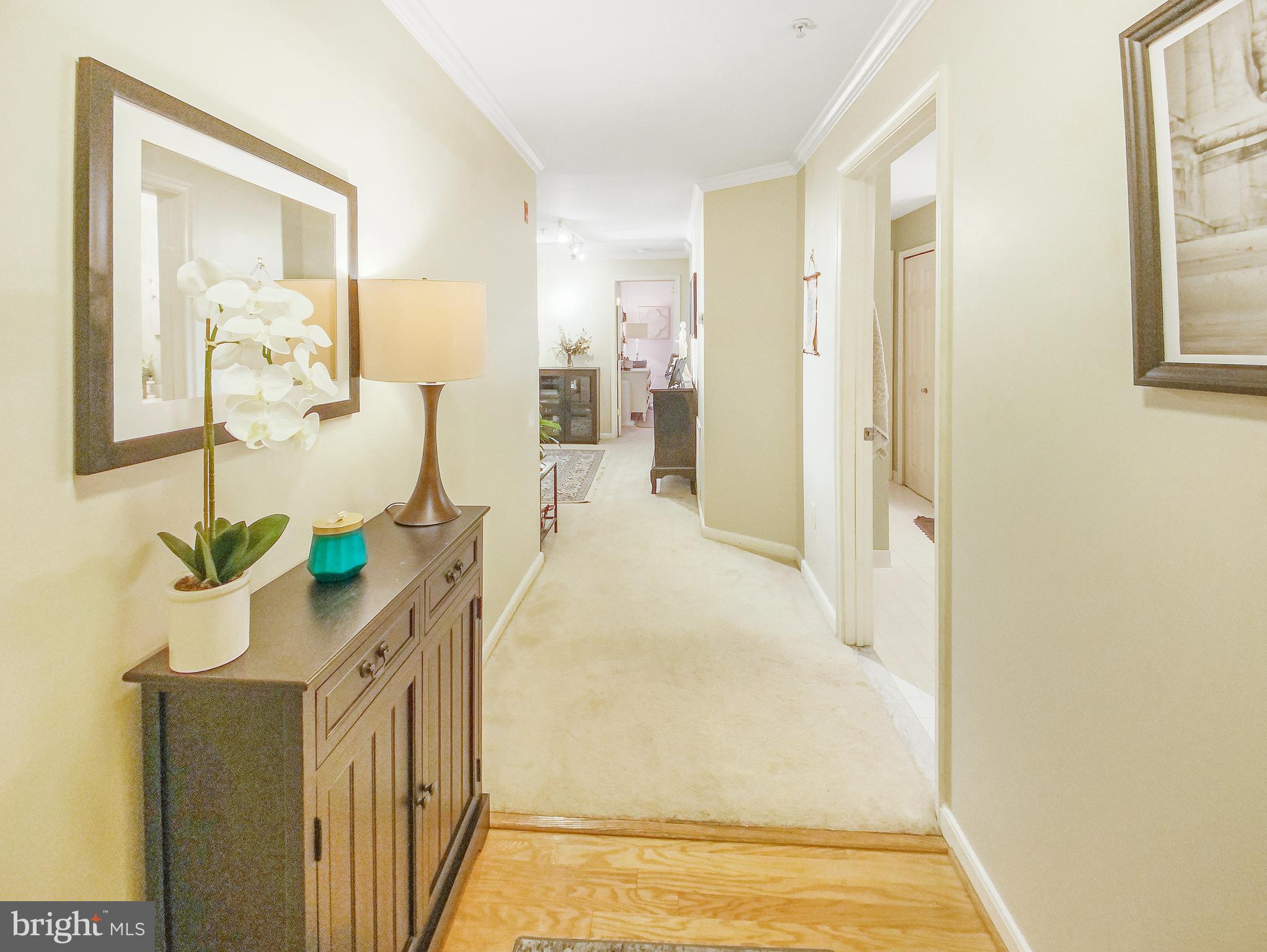 127 TIMBERBROOK LANE 203