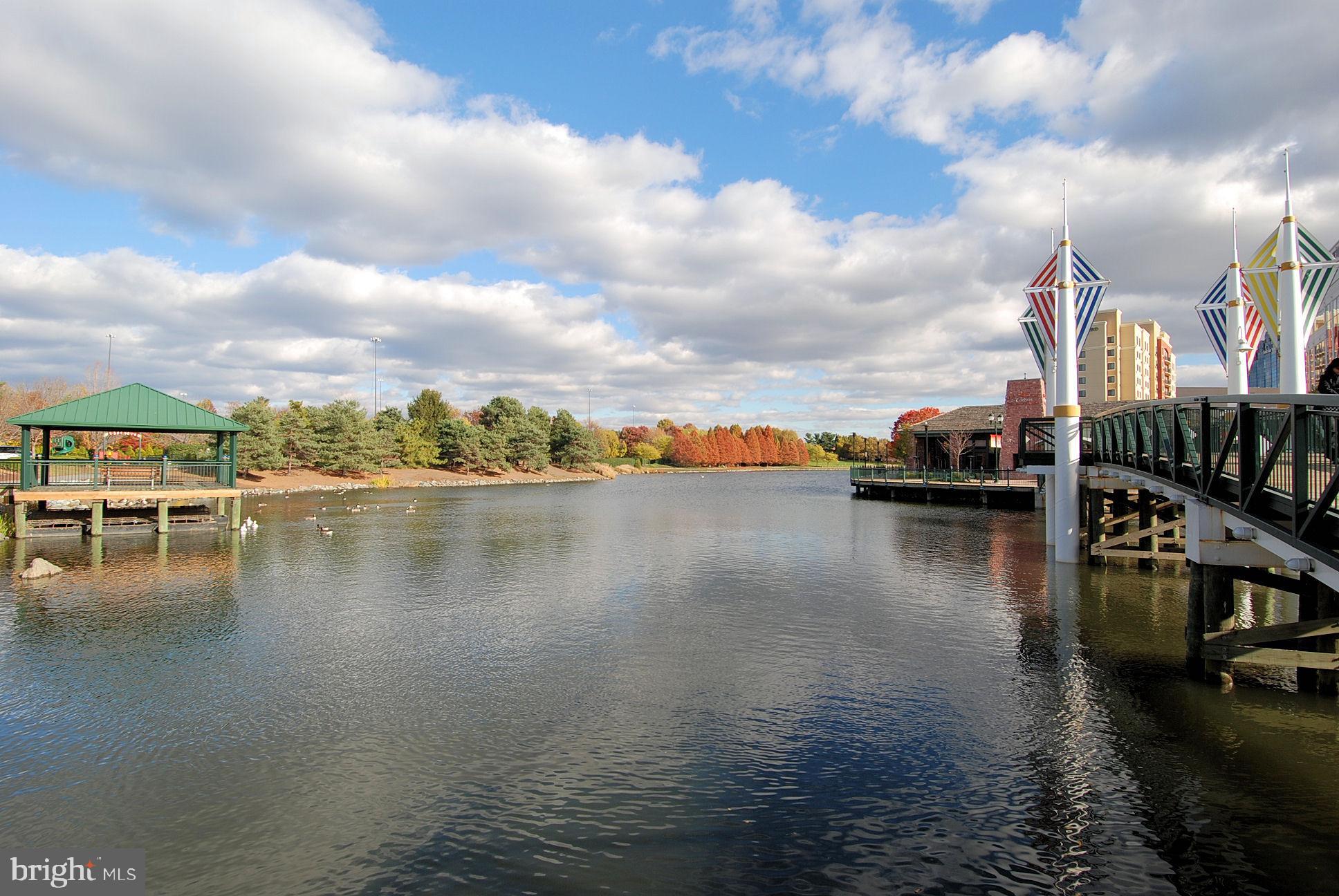 TIMBERBROOK CODM - Residential Lease