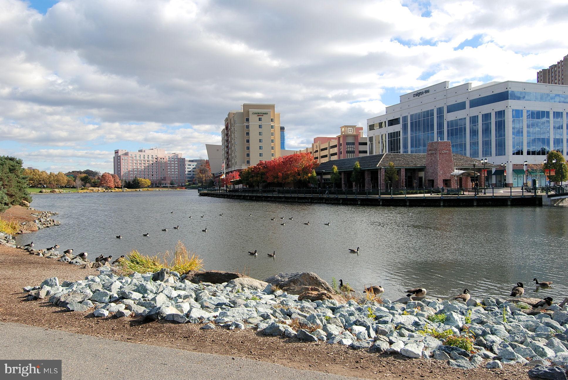 TIMBERBROOK CODM - Residential Lease