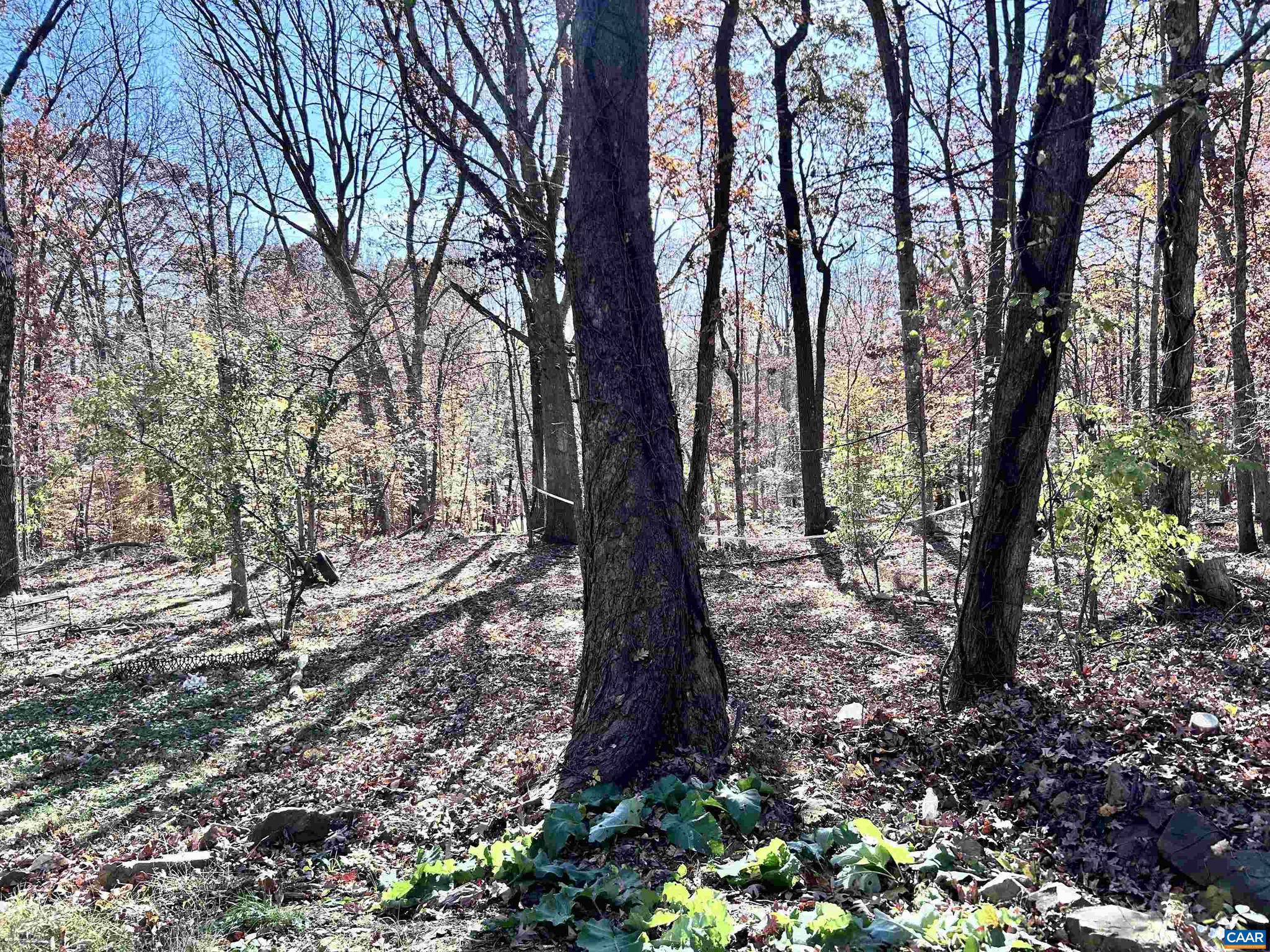 DUDLEY MOUNTAIN - Residential