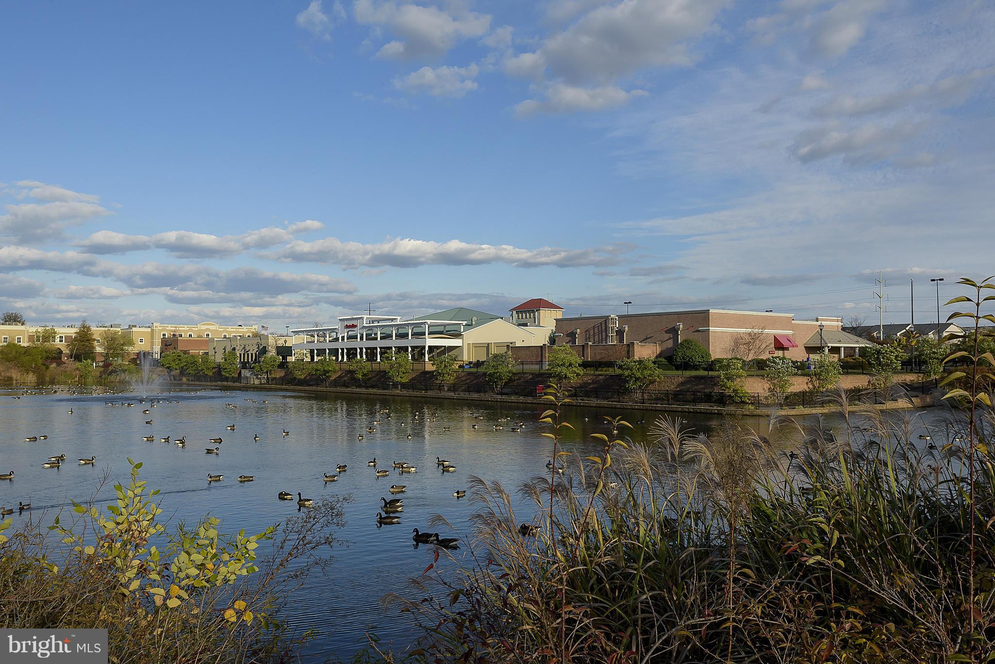 VILLAGE AT WAUGH CHAPEL - Residential