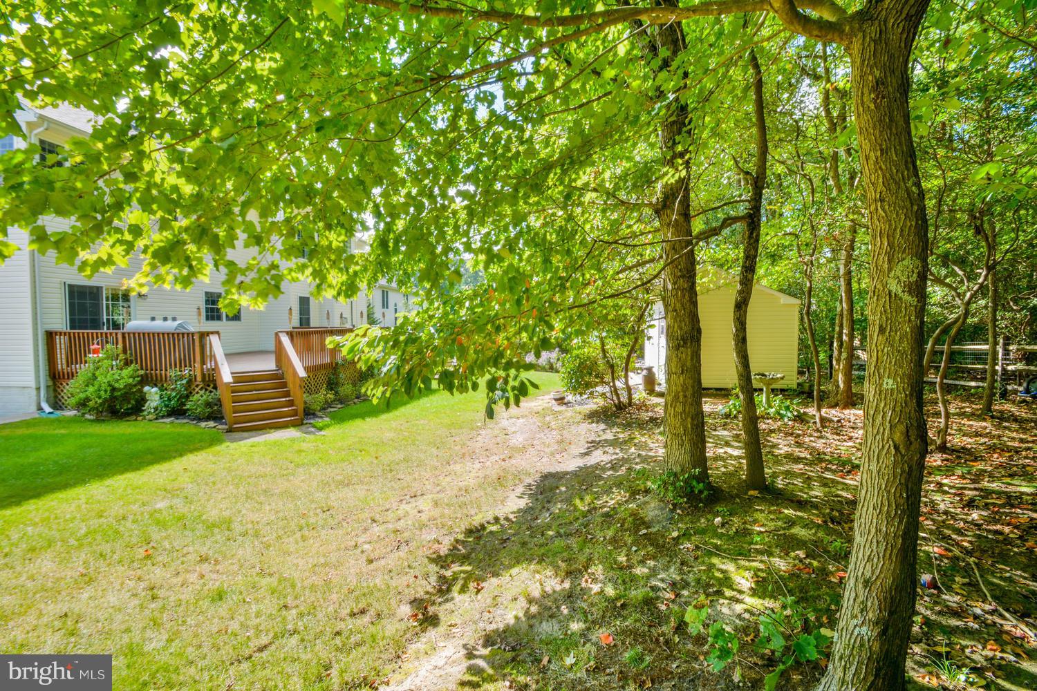 WHITAKER WOODS - Residential