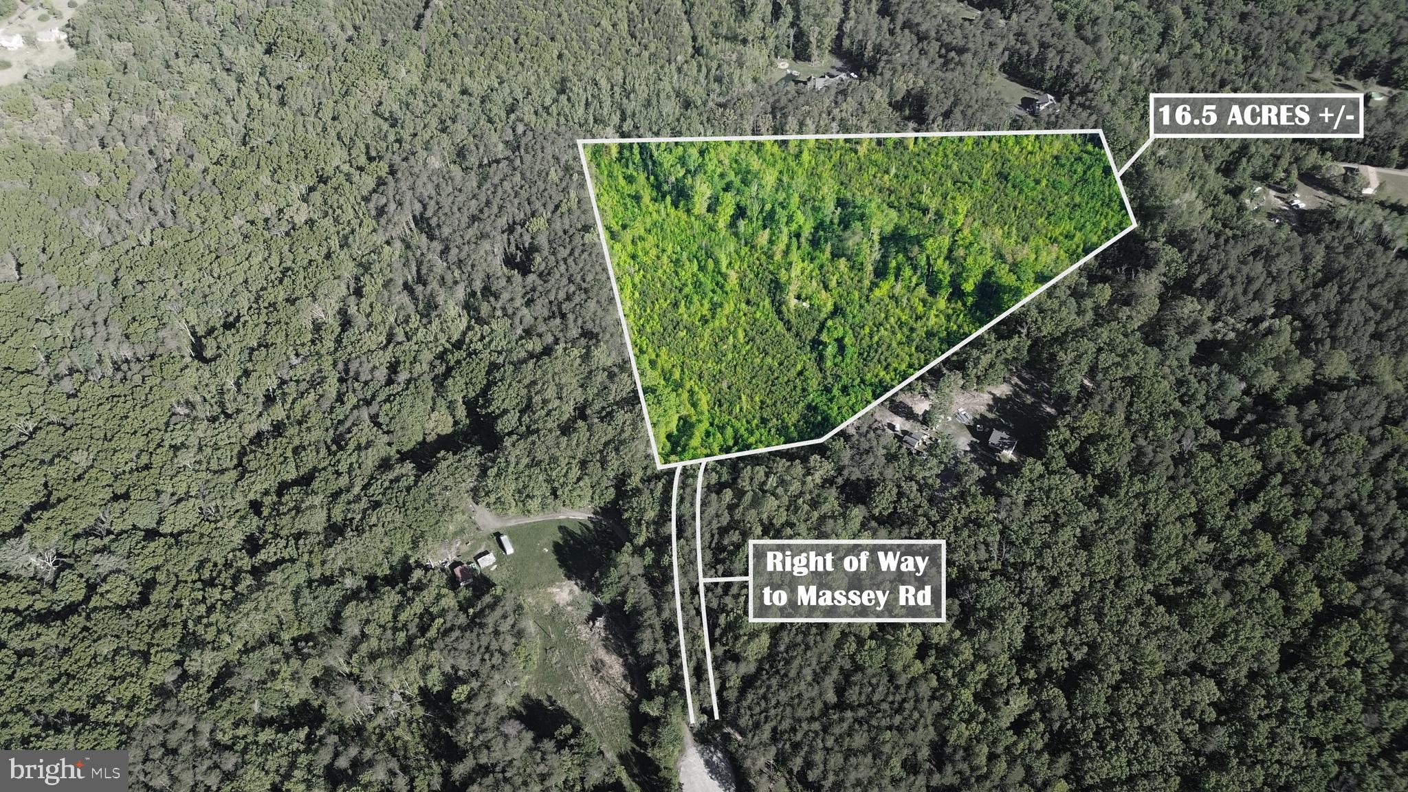 Nestled at the end of a quiet road, this remarkable property offers the perfect blend of peaceful seclusion and convenient access to local amenities. Imagine owning over 16 acres of beautiful, hardwoods approximately 10 years old creating a private setting. Nature enthusiasts will delight in the presence of a charming creek meandering through the land, adding to the property's natural allure.
This exceptional parcel boasts the freedom of no Homeowners Association (HOA), providing you with the flexibility to truly make the land your own. Despite its private feel, you're just a short drive away from key destinations. In less than 8 minutes, you can find yourself enjoying the recreational opportunities and scenic beauty of Lake Anna. For those seeking urban conveniences, Fredericksburg is within a comfortable 30-minute drive, offering a wealth of shopping, dining, and historical attractions.
Adding to the practicality of this stunning acreage, electricity is already available on-site, streamlining the process of building your dream home or weekend retreat. This is a rare opportunity to own a substantial piece of land that combines natural beauty, privacy, and accessibility in a highly desirable location. Seller is willing to pay for an OSE feasibility with the right offer.