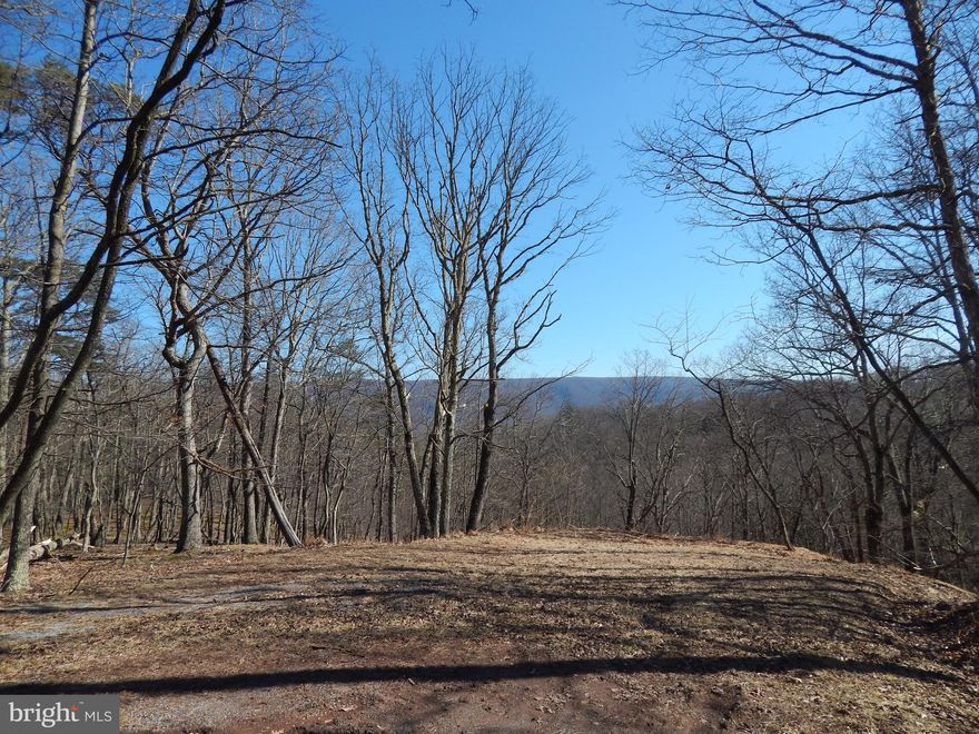 10.8 Wooded Acres located at the end of a culdesac for peaceful oasis to build your getaway home.  Limited winter views, which could possibly be expanded with some select tree trimming.   As an extra bonus, River Ridge is a gated community with a community park featuring bathroom facilities, picnic tables, BBQ pits, canoe racks and access to the sparkling Cacapon River.