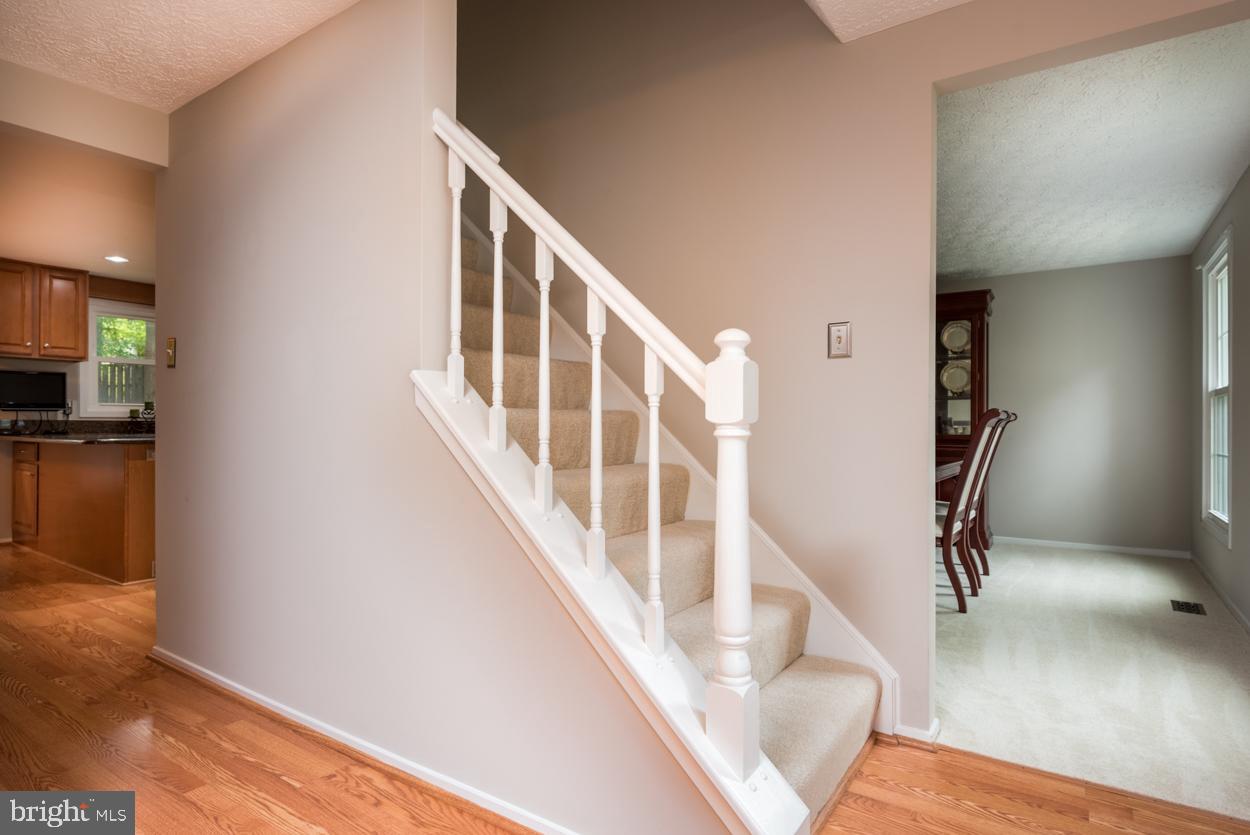 SHANNON STATION - Residential