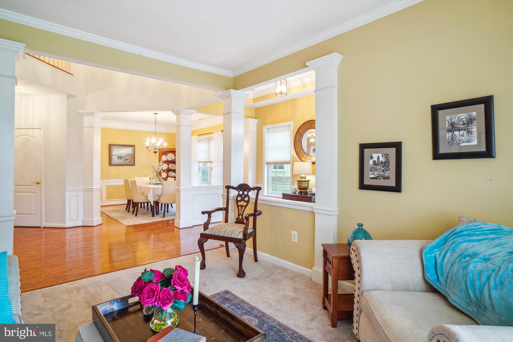 CARROLL VISTA - Residential