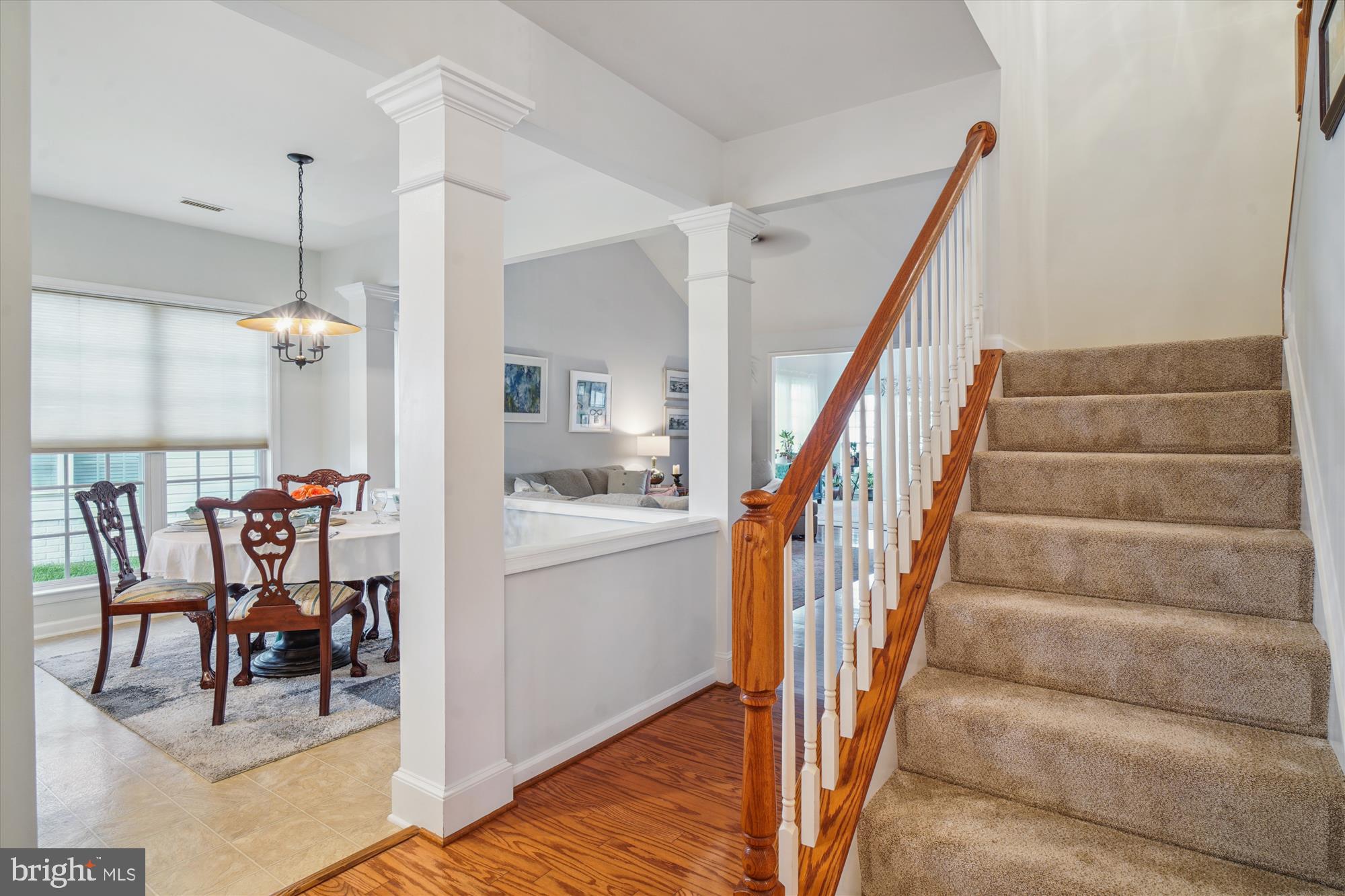 CARROLL VISTA - Residential