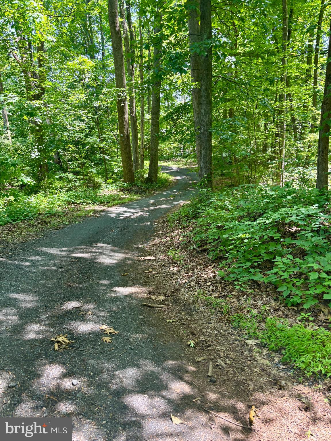 TOWER ROAD