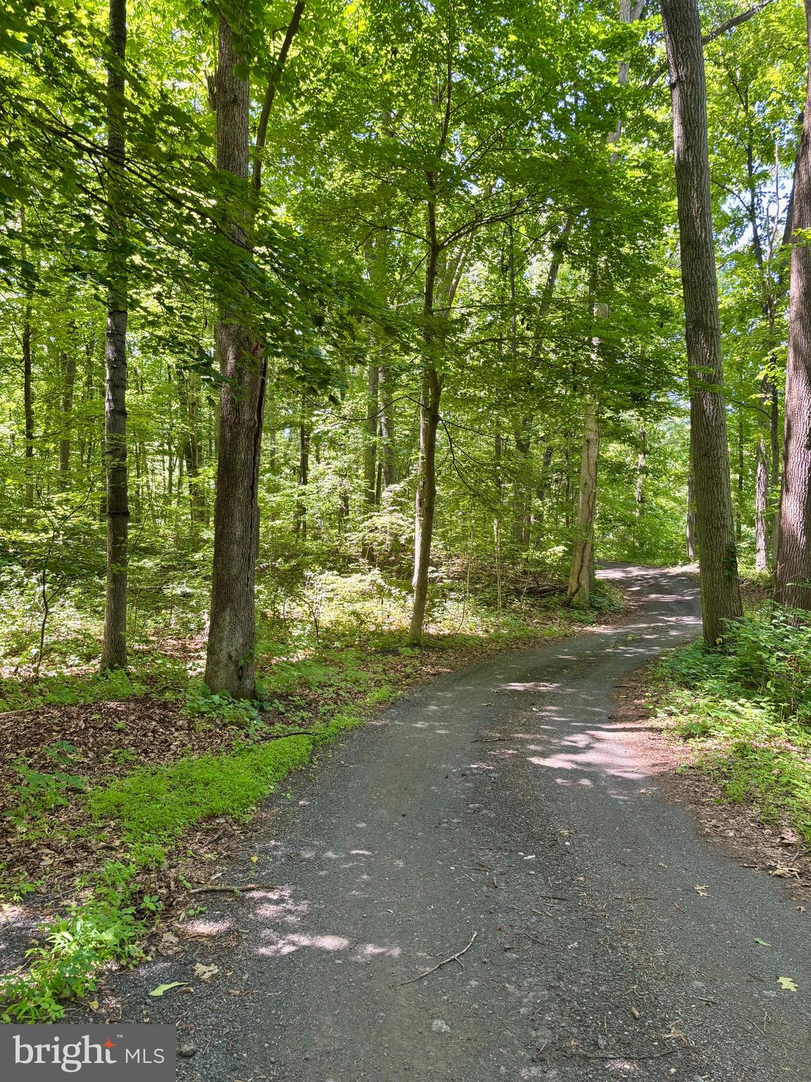 TOWER ROAD