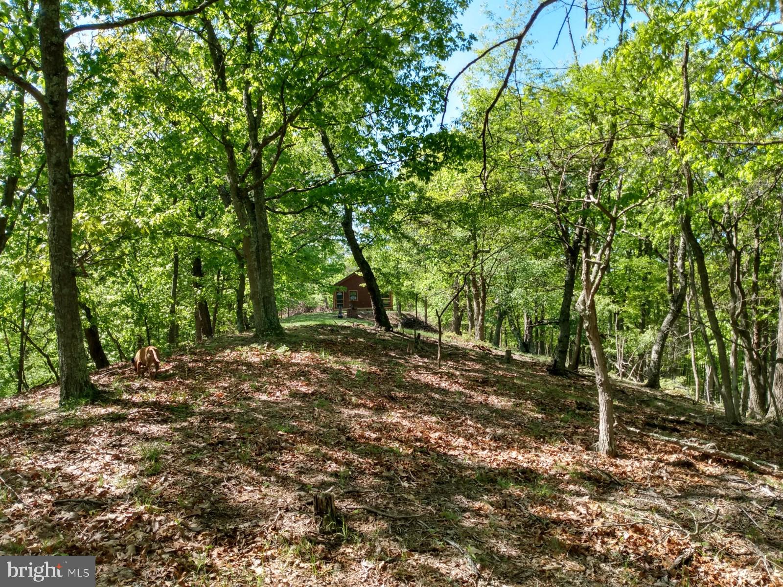VALLEY HIGH TIMBER FARMS - Residential