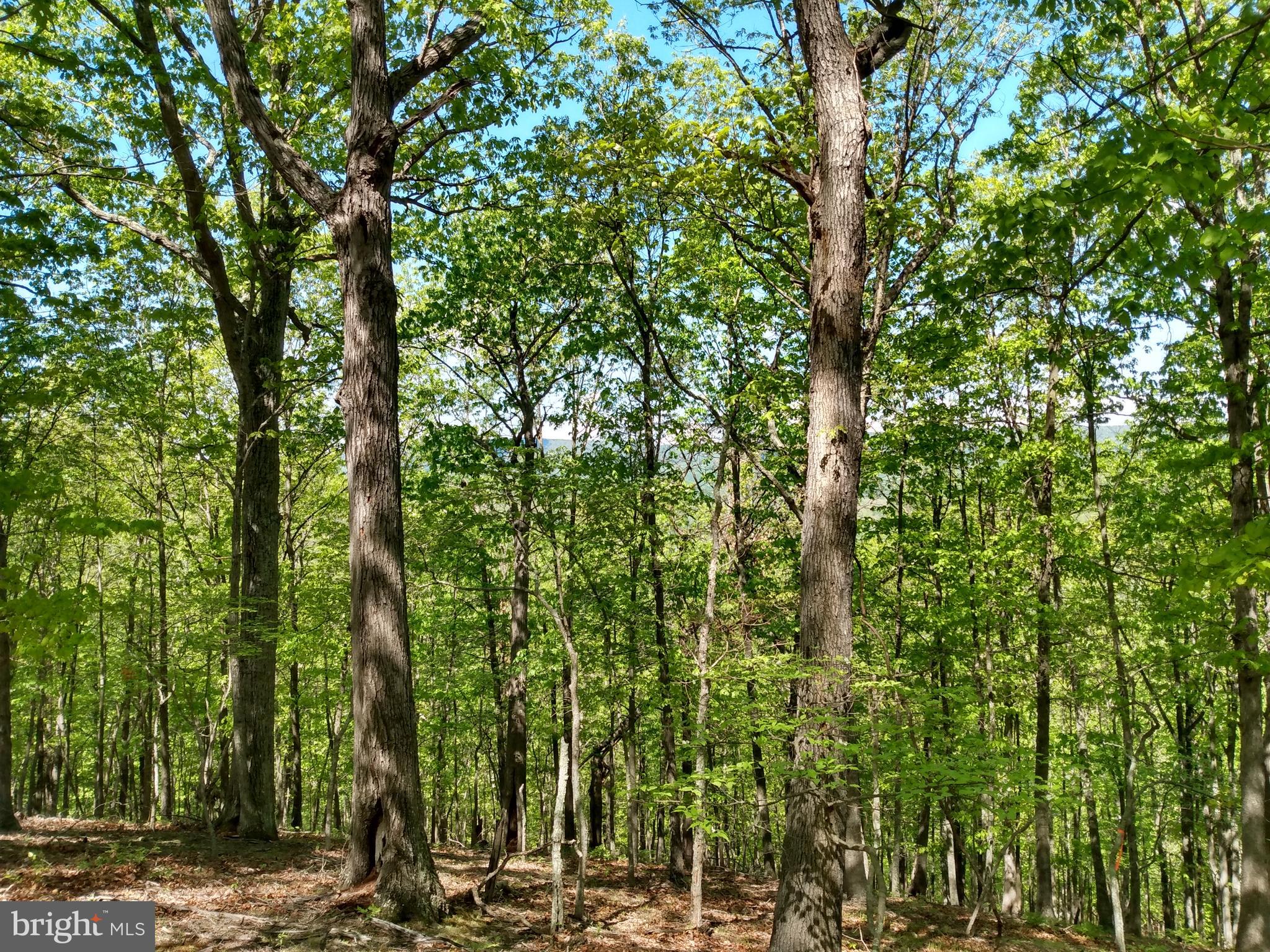 VALLEY HIGH TIMBER FARMS - Residential
