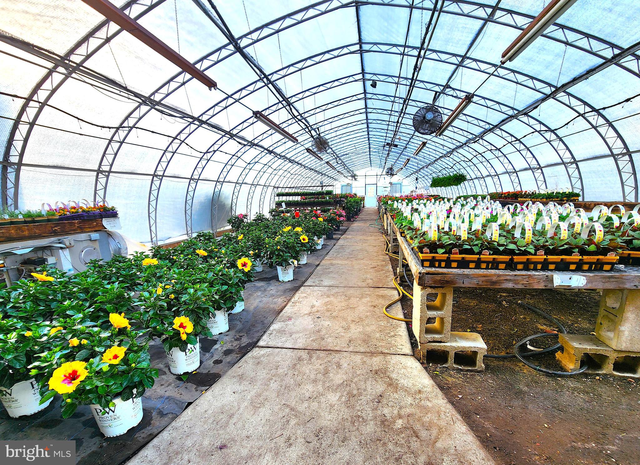 7317 BLACK HORSE PIKE