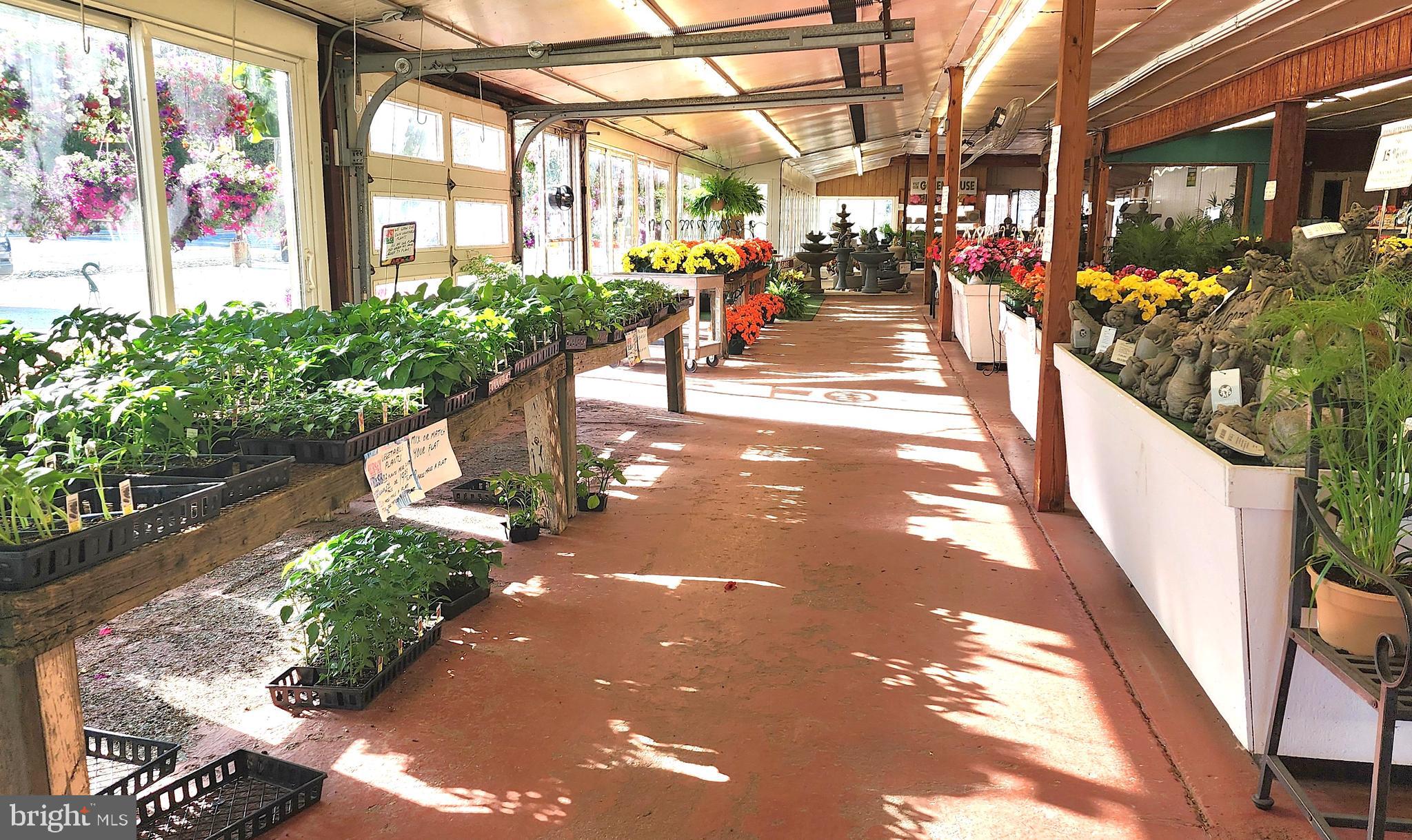 7317 BLACK HORSE PIKE