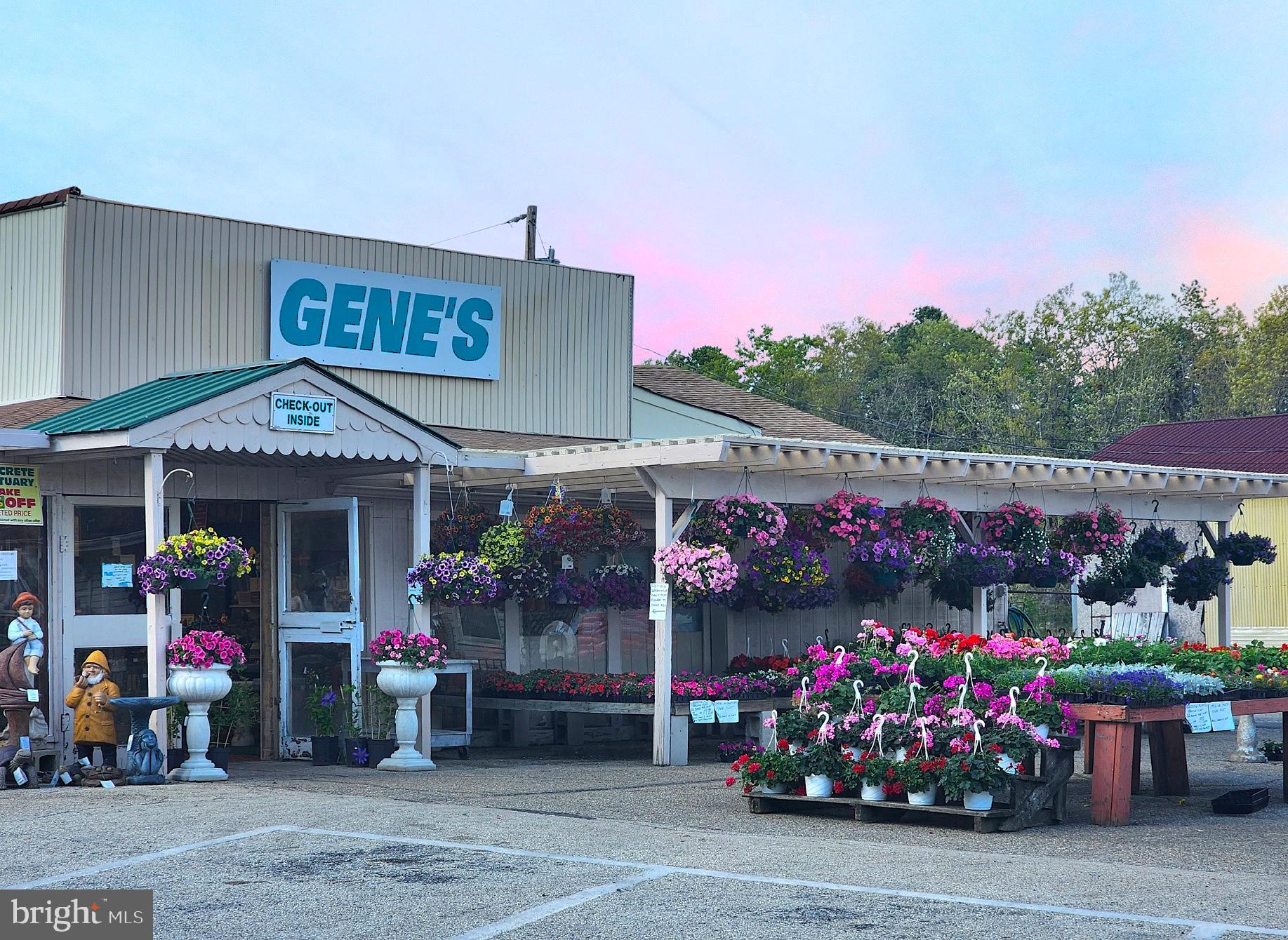 7317 BLACK HORSE PIKE