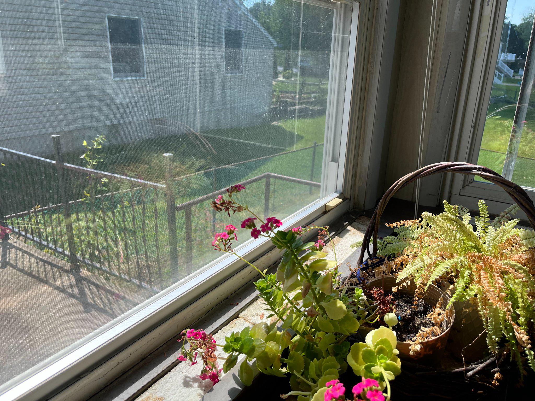 FORGE ACRES - Residential